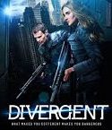 Divergent 2014
