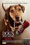 A Dogs Way Home 2019