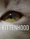Kittenhood  2015