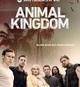 Animal Kingdom Season 1 2016