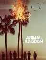 Animal Kingdom Season 2 2017