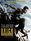 Brick Mansion 2014