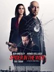 Spider in the Web 2019