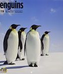 Penguins 2019